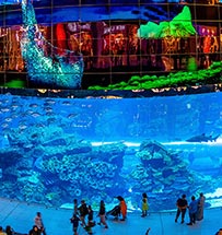 Events-Festivals-in-dubai